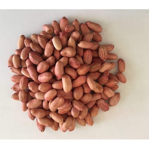 Peanuts (Raw) 200g
